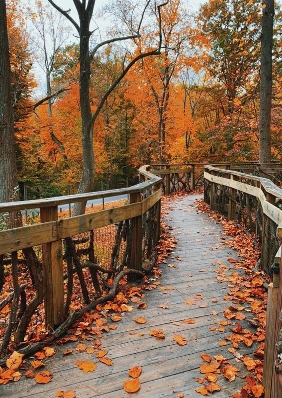 Exploring the Perfect Fall Aesthetic for Your Life - 8